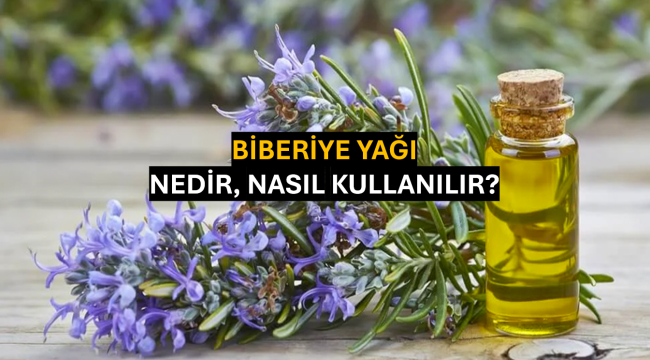 Biberiye Yağı Nedir, Nasıl Kullanılır?