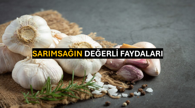 Sarımsağın Değerli Faydaları