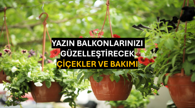 Yazın Balkonlarınızı Güzelleştirecek Çiçekler ve Bakımı